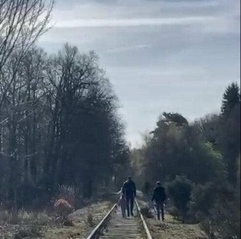 Paaswandeling wederom succes